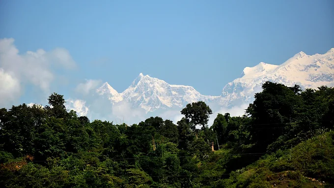 Snow peaks of the Manaslu range above green forest